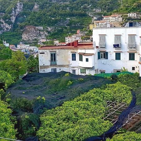 Il Limoneto Di Lulu, Holidays Among The Lemon Trees Villa Minori Exterior photo