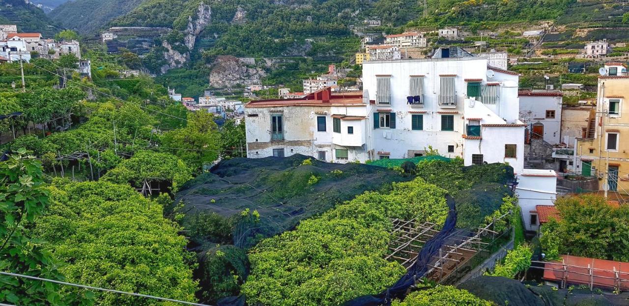 Il Limoneto Di Lulu, Holidays Among The Lemon Trees Villa Minori Exterior photo