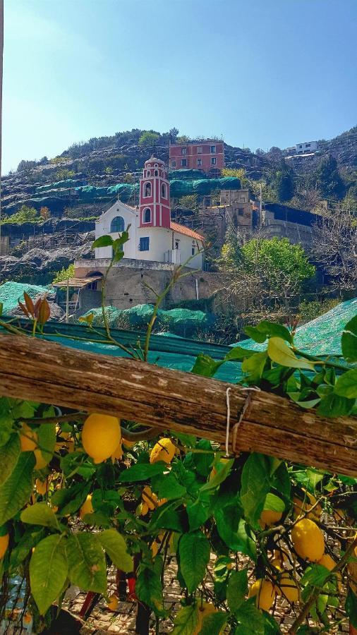 Il Limoneto Di Lulu, Holidays Among The Lemon Trees Villa Minori Exterior photo