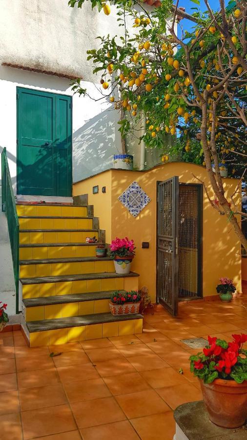 Il Limoneto Di Lulu, Holidays Among The Lemon Trees Villa Minori Exterior photo