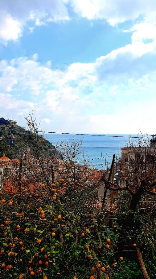 Il Limoneto Di Lulu, Holidays Among The Lemon Trees Villa Minori Exterior photo