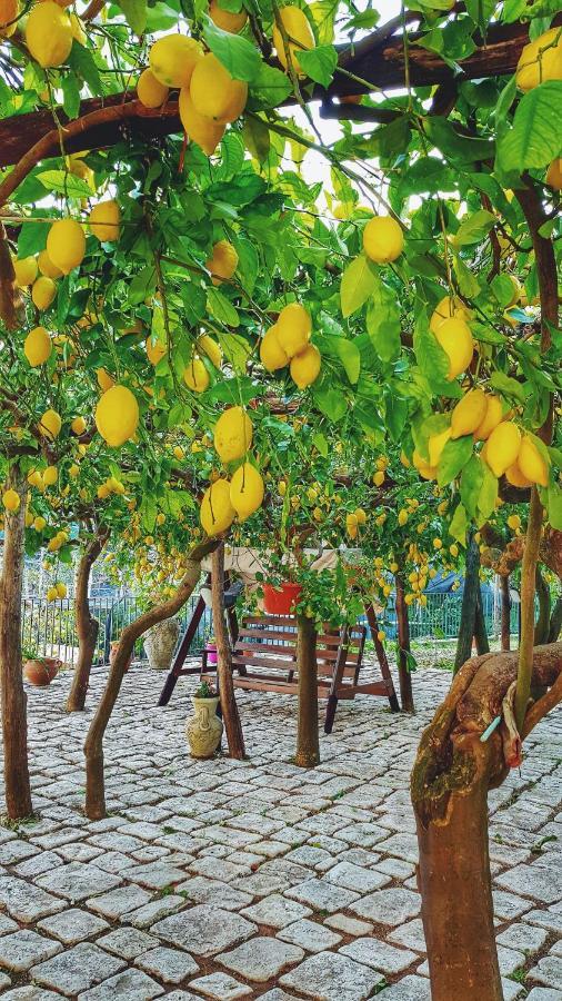 Il Limoneto Di Lulu, Holidays Among The Lemon Trees Villa Minori Exterior photo