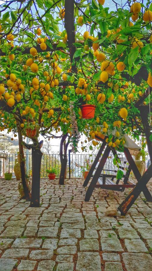 Il Limoneto Di Lulu, Holidays Among The Lemon Trees Villa Minori Exterior photo