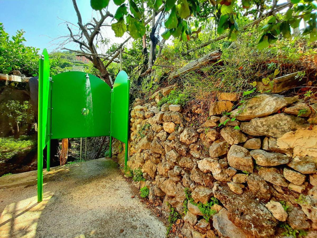 Il Limoneto Di Lulu, Holidays Among The Lemon Trees Villa Minori Exterior photo